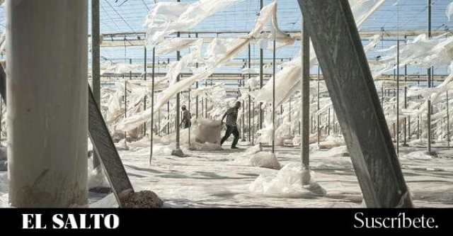 La pobreza que se ve desde el espacio: la vida de los jornaleros del Mar de Plástico que dan de comer a Europa