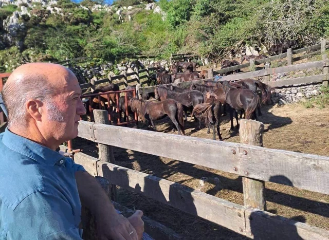 Asturias: El PP advierte que «es probable que en el Sueve haya una manada de lobos»