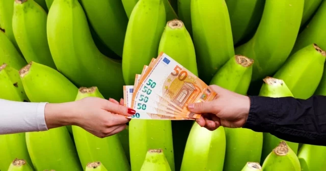 Qué está pasando con el Plátano de Canarias y por qué los agricultores lo desperdician para que su precio no baje