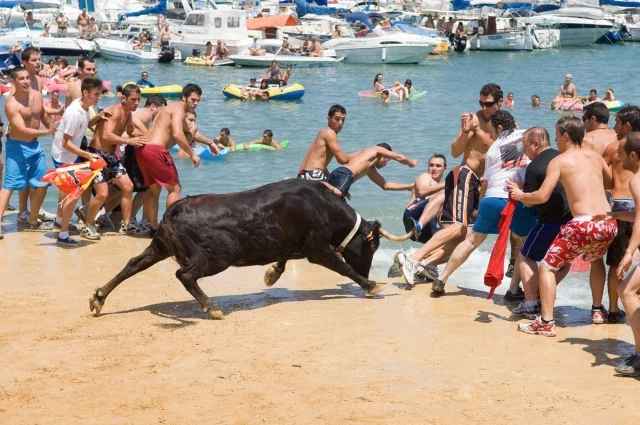 Cuál es el pueblo con más heridos en los bous al carrer: la competición que denuncia el sufrimiento animal