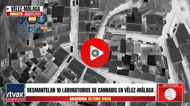 Incautan 1.200 plantas de marihuana tras desmantelar diez laboratorios de cannabis en Vélez-Málaga