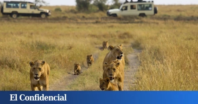 200 euros por 12 horas de safari o la expulsión de tribus: la polémica por el turismo en África