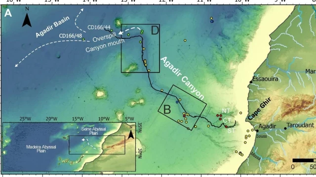 Así fue el gigantesco alud submarino que arrasó el norte de Canarias