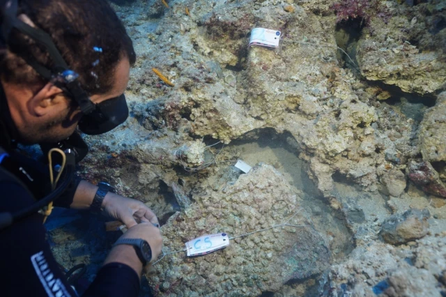 Descubren una daga minoica de bronce de 3.600 años de antigüedad en una excavación submarina de Antalya (ENG)