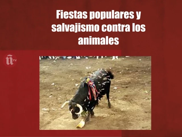 Vergüenza nacional. Las principales salvajadas cometidas contra los animales en las fiestas populares