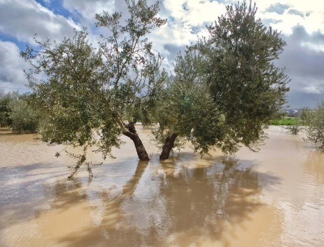 Incógnita en España por las lluvias del Sahara: ¿y si la zona de convergencia intertropical se está acercando?