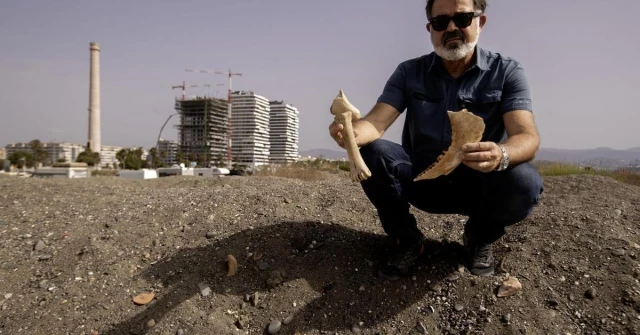 Un vecino de Málaga halla cientos de restos prehistóricos, con más de 50.000 años, en la playa de Sacaba