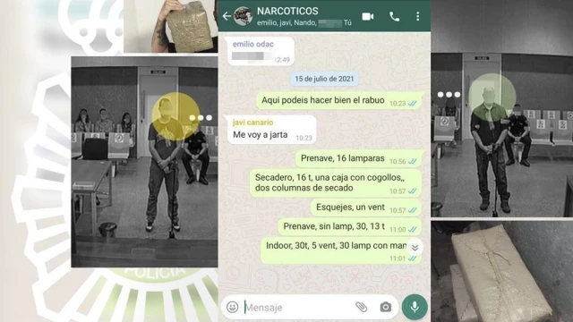 El juez procesa al Grupo Antidroga de la Policía Nacional en Mérida por "organización criminal"