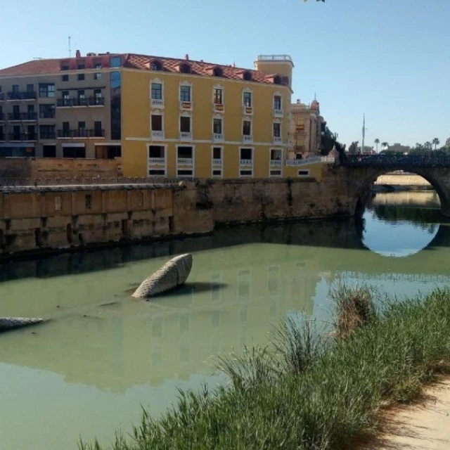 El río Segura, gravemente contaminado por el uso de un herbicida