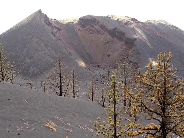 Una visita al volcán de La Palma