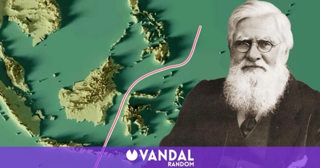 Linea de Wallace: la frontera invisible que ninguna especie animal es capaz de atravesar y ha sido clave para la evolución