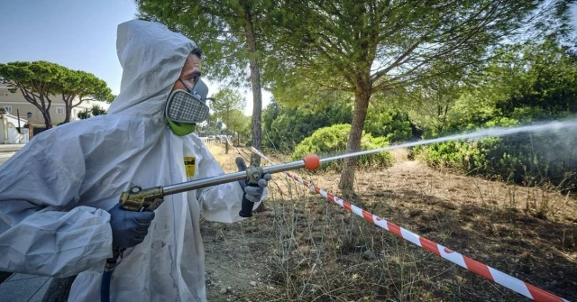 El virus del Nilo se extiende a la Sierra Norte de Sevilla