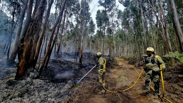 Hallan tres artefactos incendiarios en el monte de Crecente arrasado por el fuego