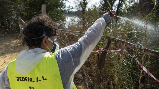 Muere otra persona en Sevilla por el virus del Nilo y se elevan a siete las víctimas mortales