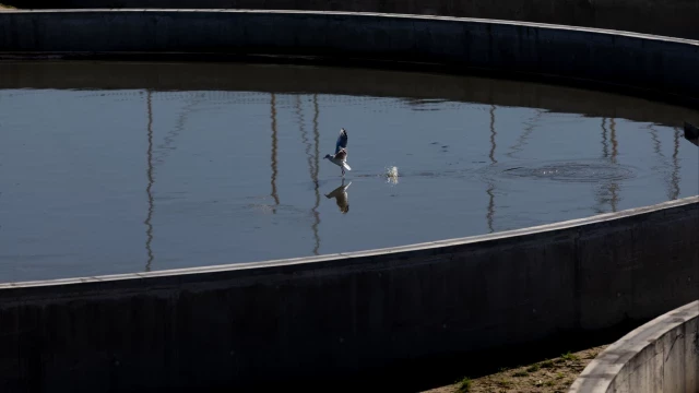 Las aguas residuales vascas revelan el elevado consumo de 'speed' en Euskadi