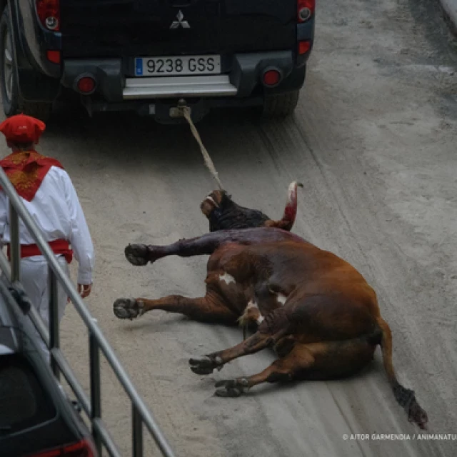 Exponemos la brutal realidad oculta tras la tauromaquia en Bilbao: Una carnicería disfrazada de cultura