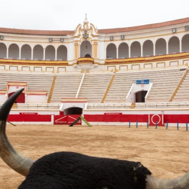 Despedido un trabajador por prestar servicios en eventos taurinos mientras estaba de baja por ansiedad en su empresa