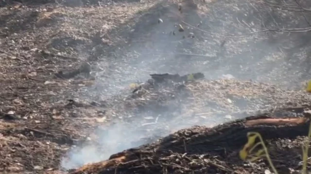 Detenido un pirómano reincidente tras causar presuntamente incendios en Zarzalejo y Valdemorillo