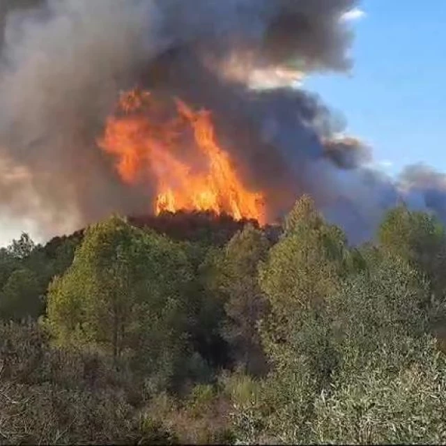 El incendio de Simat de la Valldigna se mantiene activo y pasa al término de Barxeta