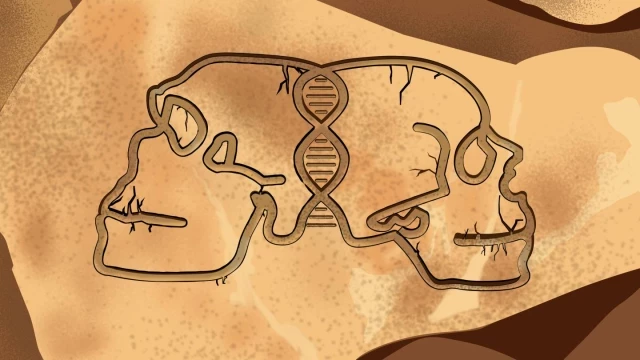 Los genetistas de Princeton están reescribiendo la narrativa de los neandertales y otros humanos antiguos (eng)