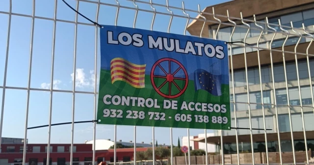 Dos de cada tres empresas de construcción en Cataluña recurren a mafias para vigilar las obras