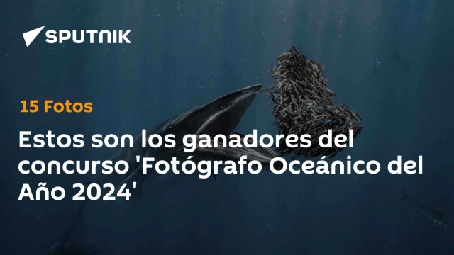 Estos son los ganadores del concurso 'Fotógrafo Oceánico del Año 2024'