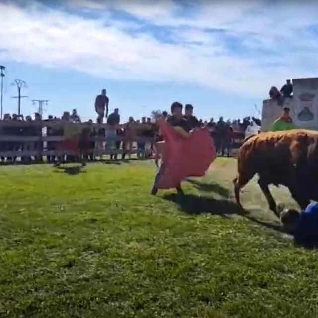 Dos heridos graves en el Toro de la Vega, uno de ellos por una brutal cogida