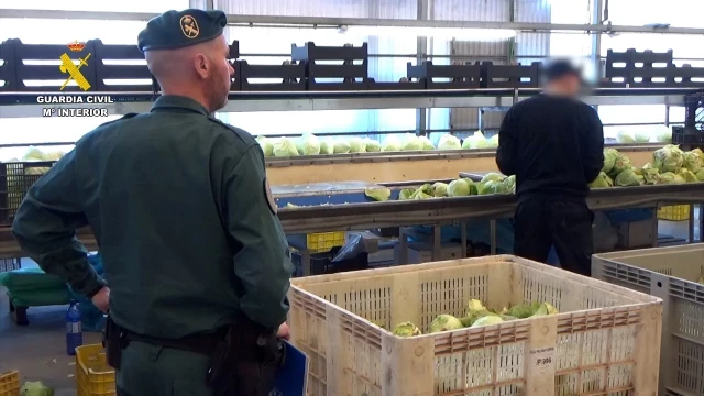 La Guardia Civil destapa una gigantesca estafa de venta de falsas frutas y verduras ecológicas