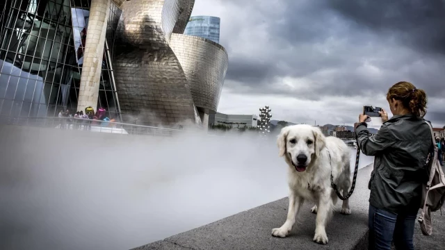 Los dueños de perros tendrán que limpiar la orina de las aceras en Bilbao