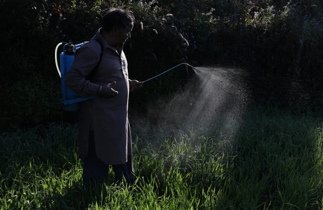 El Parlamento Europeo rechaza permitir los residuos de cinco pesticidas prohibidos en la UE en importaciones