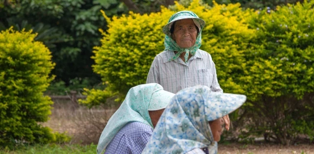 Los datos indican que los seres humanos vivos más longevos del mundo probablemente están muertos