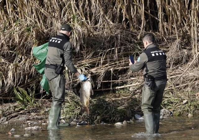 Piden 6 años de cárcel para tres directivos y 2,2 millones de multa por el "desastre ecológico" del río Besòs