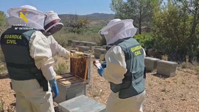 11 investigados por comercializar 40 toneladas de miel china "ecológica" contaminada con pesticidas