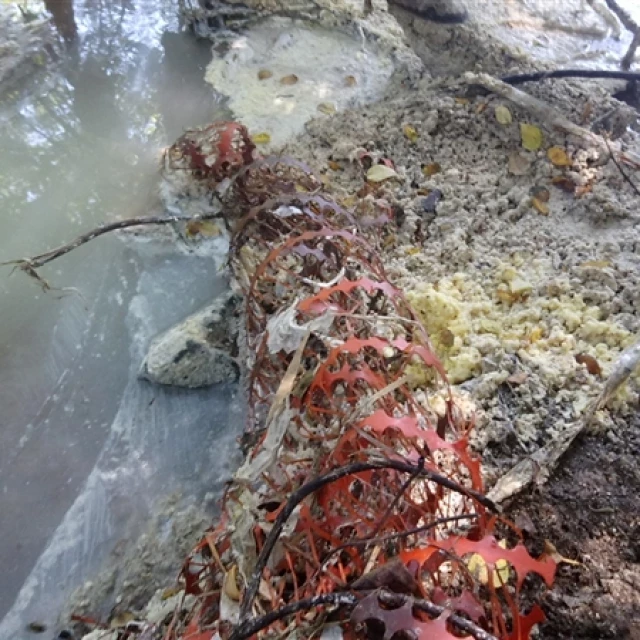 Vertido en el río Furelos (2019)