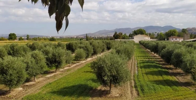 El insostenible regadío de Granada