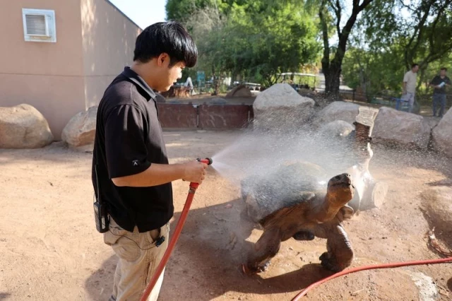 Phoenix, la ciudad más calurosa de EE.UU., bate el récord de rachas de calor: 113 días seguidos con más de 100 Fahrenheit (38°C)