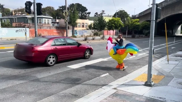 La gente disfrazada de pollo que cruza la carretera también tiene prioridad en los pasos de peatones