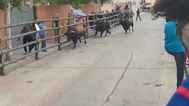 Muere una persona tras ser embestida por un toro que se escapó de un encierro en Pantoja