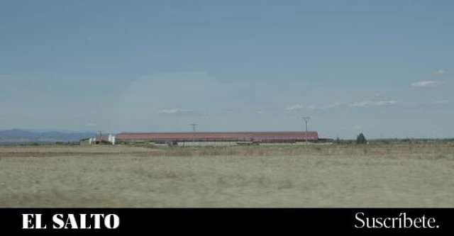 Retamoso de la Jara, un pueblo contra dos macrogranjas