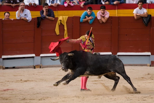 El mundo del toro lanzó una plataforma de streaming para retransmitir corridas. Ahora afronta pérdidas millonarias