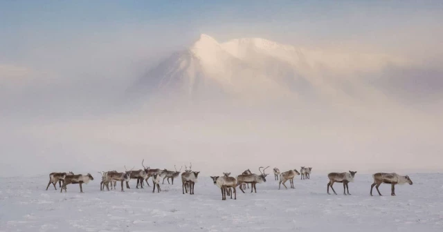 Visa pour l'Image 2024: estas son las fotos ganadoras de la 36ª edición