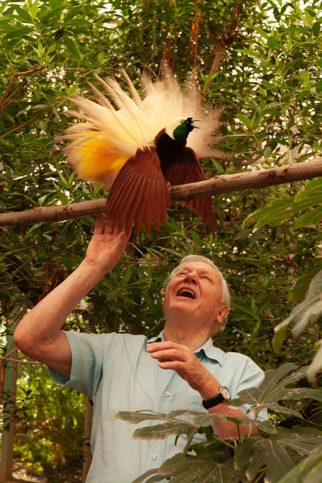 David Attenborough: el hombre que nos enseñó a amar y proteger la naturaleza a través de la pantalla