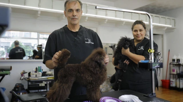 Los perros sacan a pasear nuevos negocios en A Coruña: así es el mercado impulsado por el aumento de mascotas