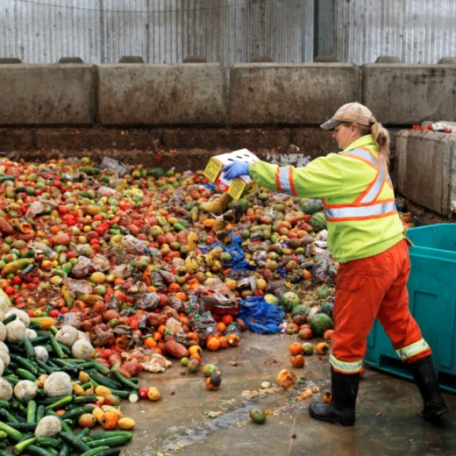 Cada segundo se desechan 250 kg de comida: esta es la cruda realidad del desperdicio alimentario en España