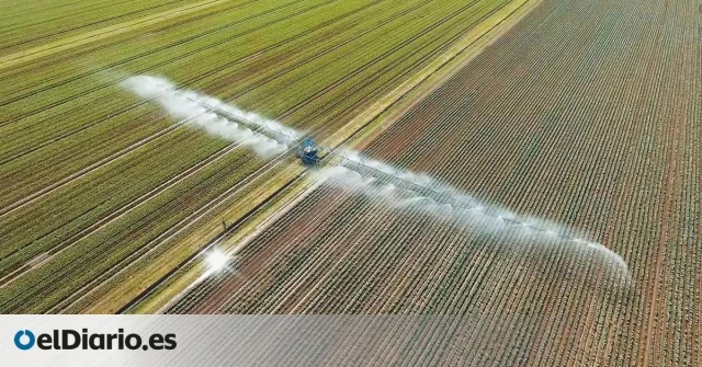 ¿Se atreverá España a quitar un millón de hectáreas de regadío para adaptarse a las sequías?