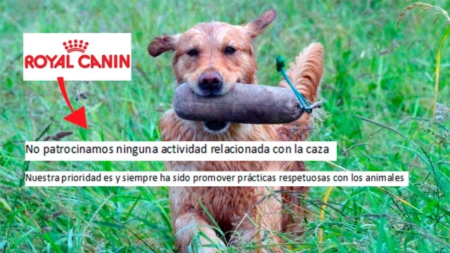 Royal Canin se posiciona contra la actividad cinegética: «No patrocinamos ninguna actividad relacionada con la caza»