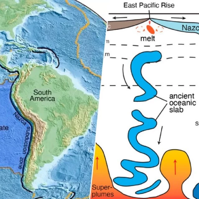 Hay una extraña estructura que se mueve lentamente bajo el fondo marino de Perú, y lleva ahí desde la época de los dinosaurios