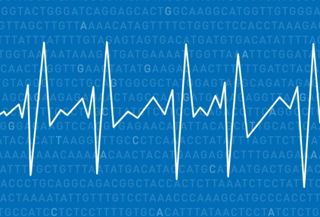 El mayor estudio genético sobre la epilepsia halla posibles dianas terapéuticas (eng)