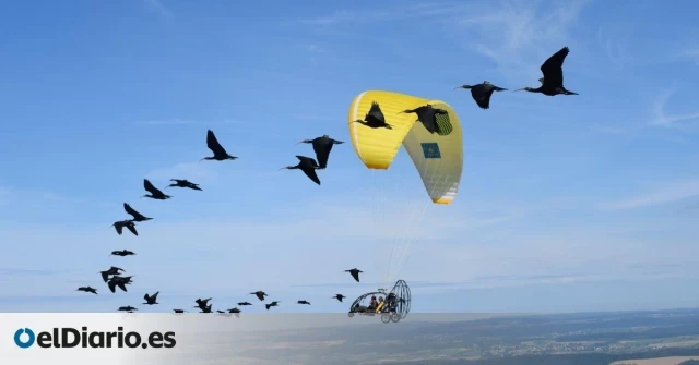 El increíble viaje de un biólogo en avión ultraligero para enseñar de nuevo a migrar a unas aves por Europa