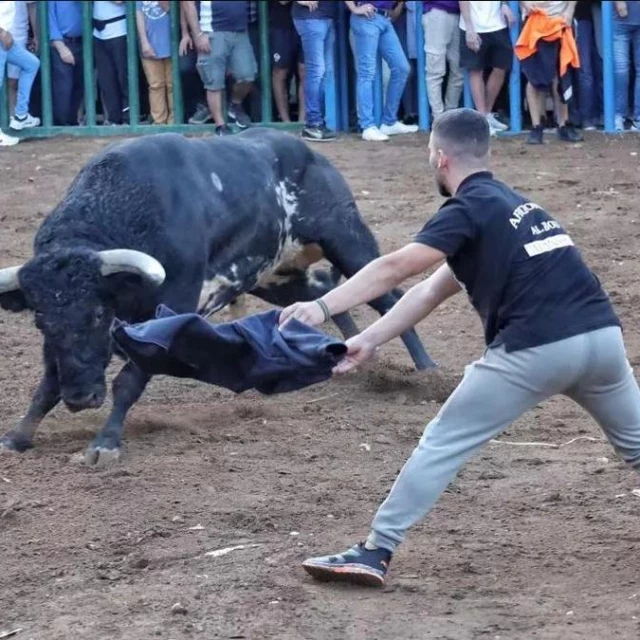 Herido grave un 'rodaor' de Faura en los bous de la Vall